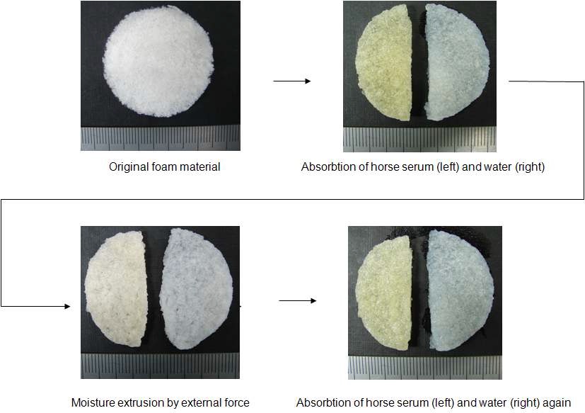 그림. 감귤 바이오겔 기반 폼(foam)의 증류수 및 serum 흡수율 비교