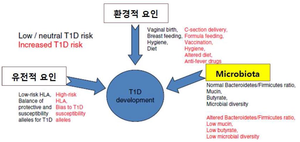 Microbiota와 2형당뇨와 인과관계