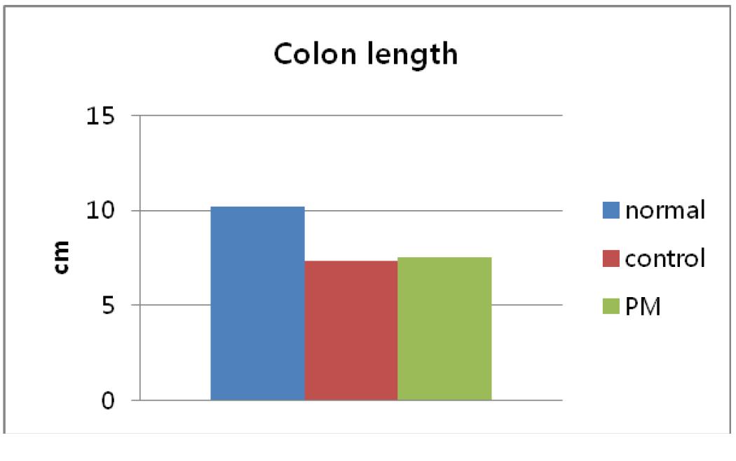 연구 1의 대장 길이 결과 (PM;probiotics mixture)