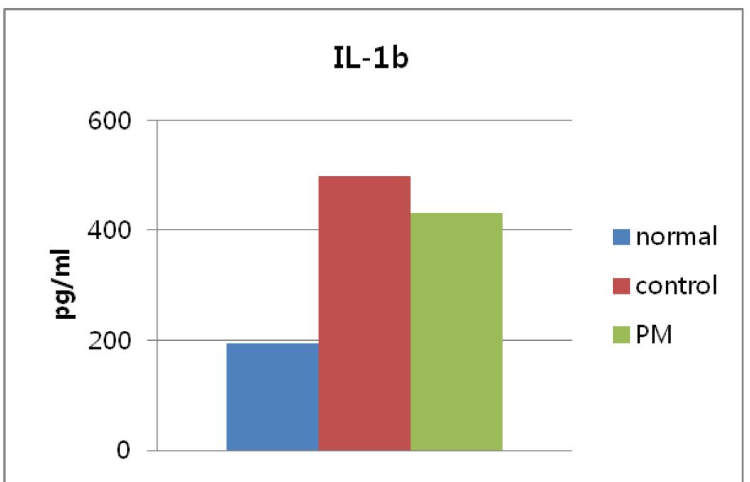 연구 1의 IL-1b 수준 (PM;probiotics mixture)