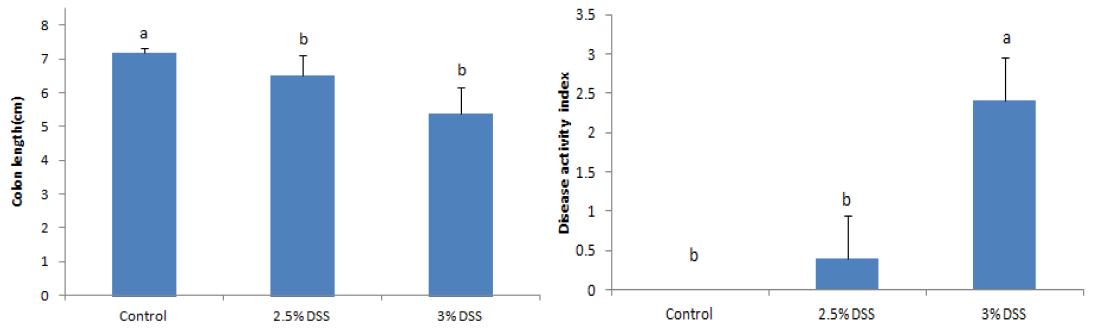 Colon length and disease activity index