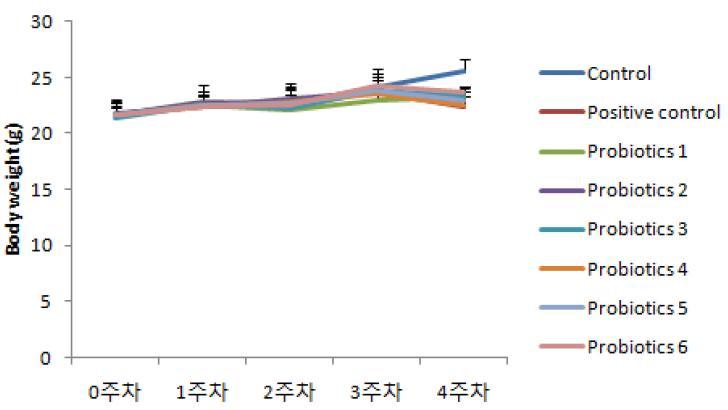 Mean body weight change by probiotics in C57BL/6 mice.