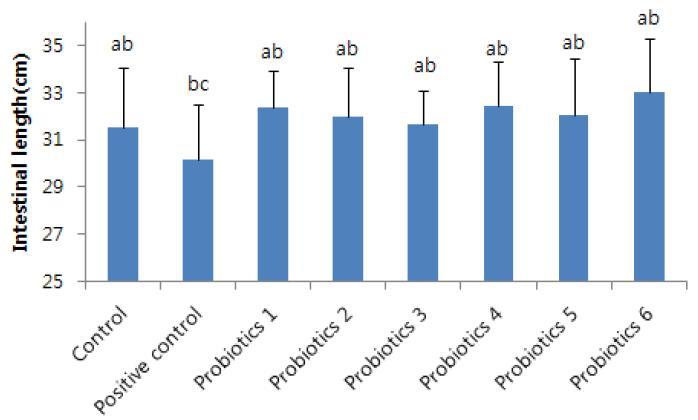 Intestinal length(cm)