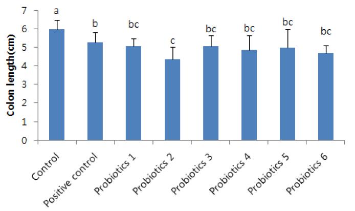 Colon length(cm)