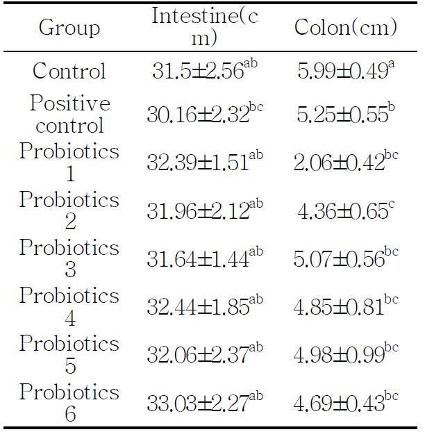 Intestine and colon length(cm)