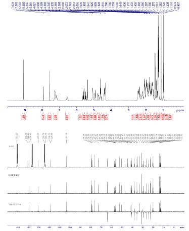 그림 12. 1H, 13C NMR and DEPT spectra Compound 4 from the leaves of Stewartia koreana.