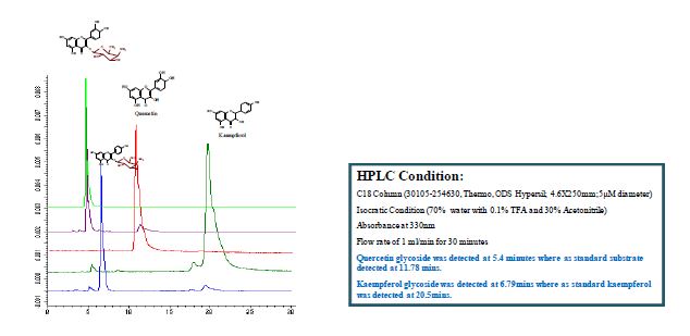 그림 10. HPLC analysis of proposed 4-O-Amino-4,6-dideoxy-galactosyl quercetin and kaempferol