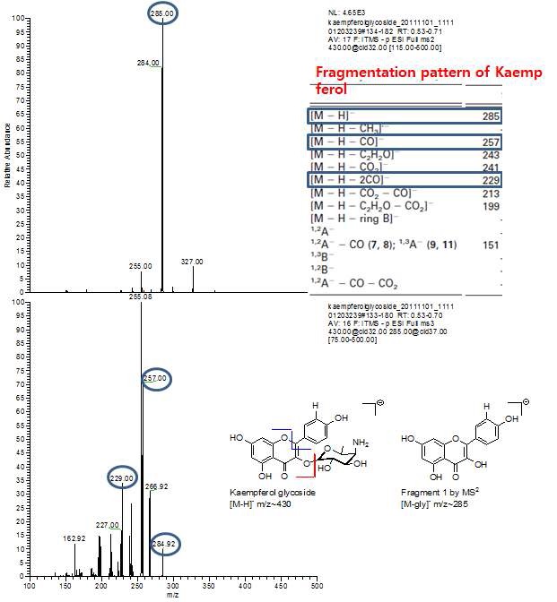 그림 16. 4-O-Amino-4,6-dideoxy-galactosyl kaempferol로 추정되는 물질의 Mass 분석