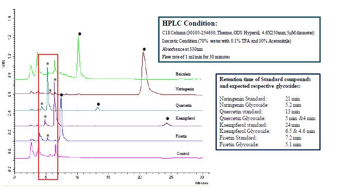 그림 22. HPLC of Ethyl Acetate Crude Extract after Biotransformation Experiment