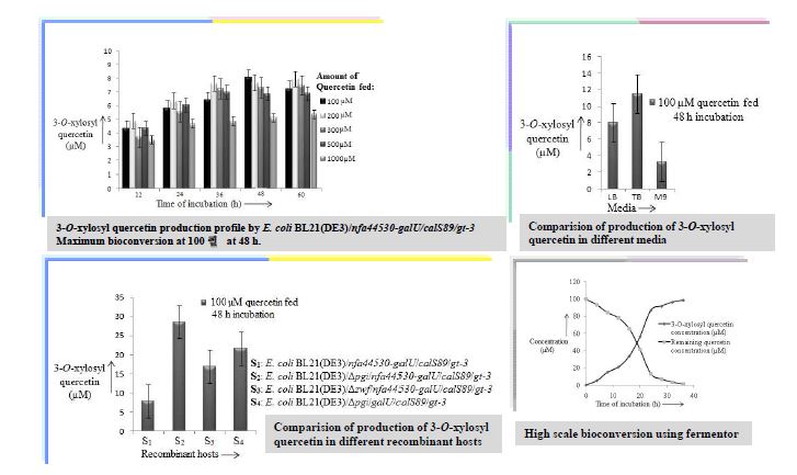 그림 33. 개발된 여러 균주에 의한 Quercetin 3-O-xyloside 생산성에 관한 결과.