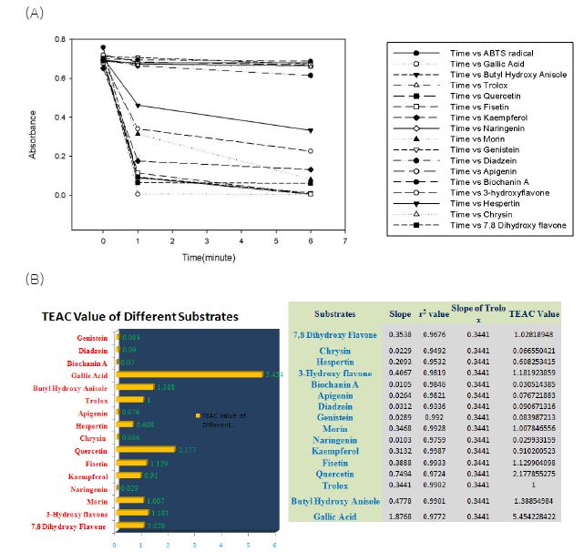 그림 35. (A) ABTS Assay: Effect of Time to interact with ABTS Radical, (B) TEAC Value of Different Substrates