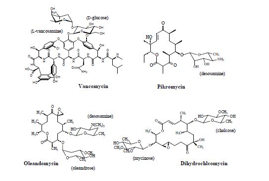 그림 1. Glycosylated 생리활성 물질들의 예.