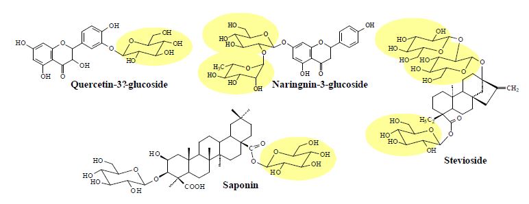 그림 2. 생리활성을 갖는 glycosylated flavonoid, terpene 및 steroid의 예