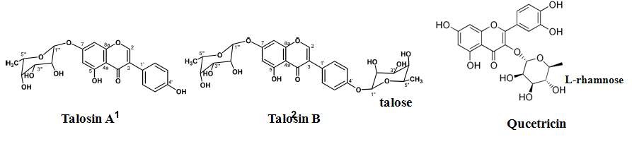 그림 3. Deoxysugar를 갖는 glycosylated flavonoid 예