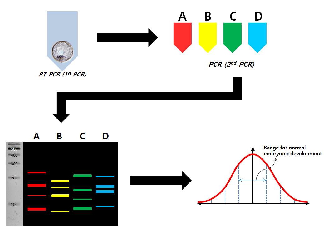 그림 8 Multiplex PCR 전략