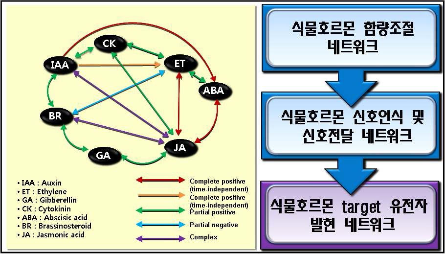 그림 2 식물호르몬의 가능한 유전자 발현 조절 network