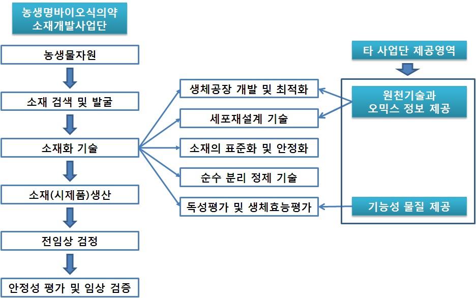 소재 개발단계에서의 사업단의 역할