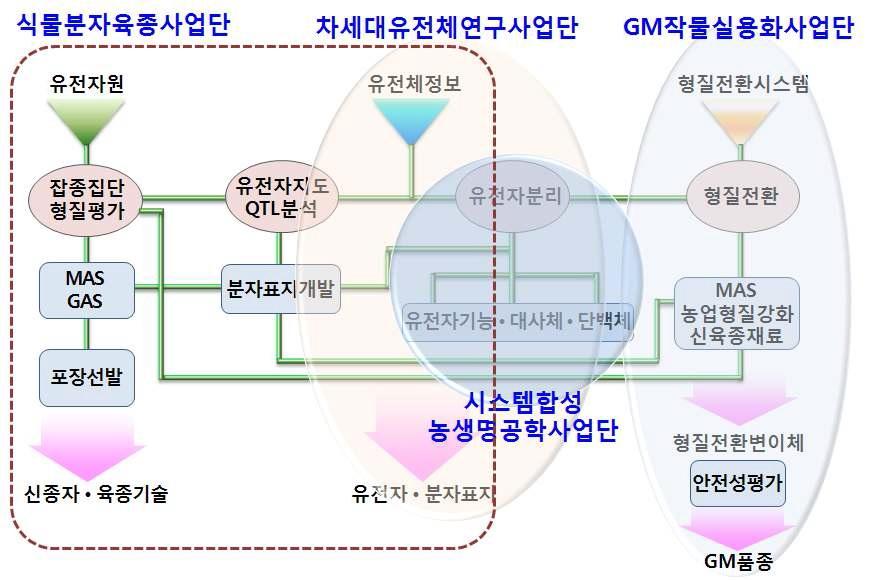 식물분자육종사업단과 차세대유전체연구사업단, 시스템합성농생명공학사업단, GM작물실용화사업단의 연계방안