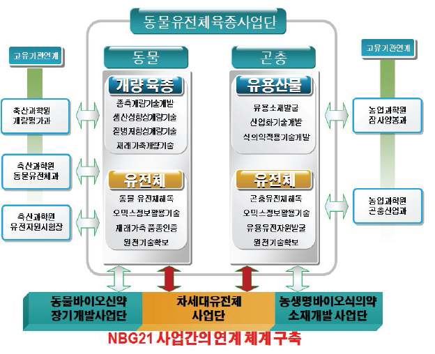 동물유전체육종사업단과 차세대BG21사업, 고유기관사업과의 연계방안