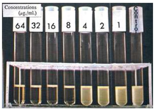 Macrodilution MIC test