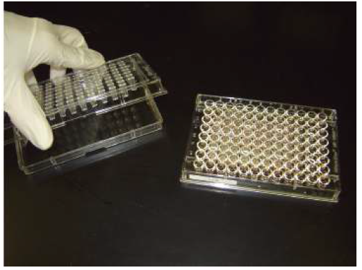 Microdilution MIC test