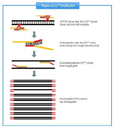 CLPTM Technology 원리