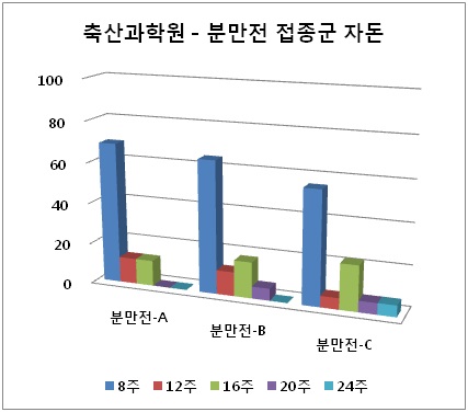 분만전 접종 군 자돈의 항체 양성률