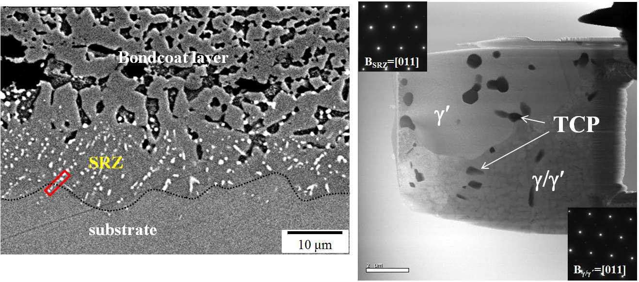 TEM observation of SRZ by FIB machining.