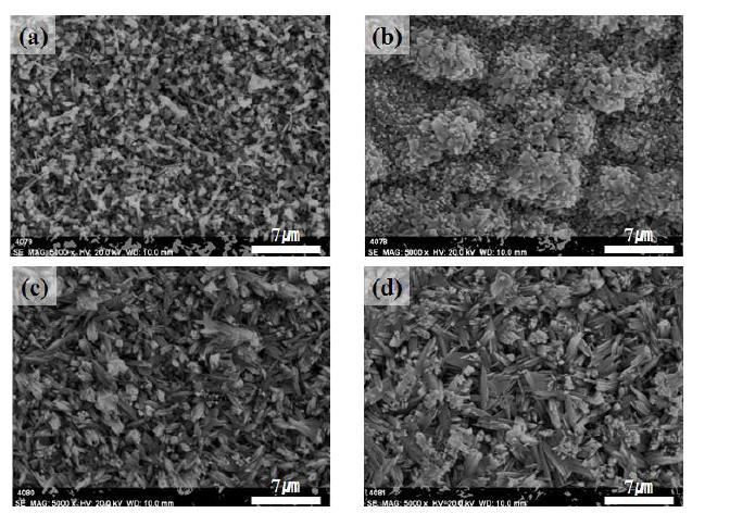 SEM micrographs of the top surface of (a)Ti-6Al, (b)Ti-6Al-4V, (c)Ti-6Al-1Fe, and (d)Ti-6Al-4Fe after isothermal oxidation test at 700℃ for 96h in air.