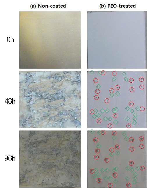 PEO 처리 유무에 따른 부식 표면형상의 변화(염수분무시험 후)