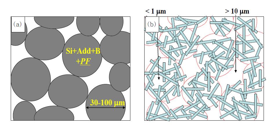 Si 혼합분말 과립으로 제조된 다공성 SRBSN의 채널구조 개략도