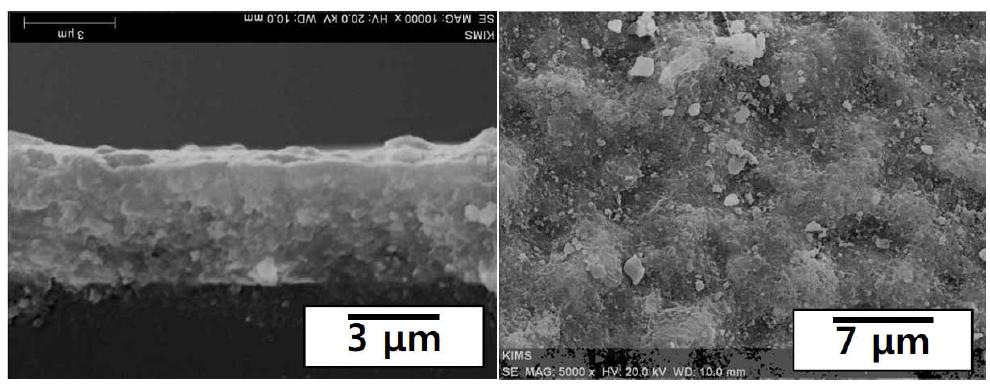 AD 법으로 제조된 LLZN + Si 막의 파단면 및 표면의 SEM 사진
