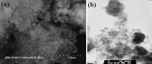 PAD 방식에 의한 구리 분말 합성의 테스트 결과. (a) SEM 이미지. Scale bar = 1 ㎛. (b) TEM 이미지. Scale bar = 20 nm. (입력 전류 400 A, 입력 전압 46 V)