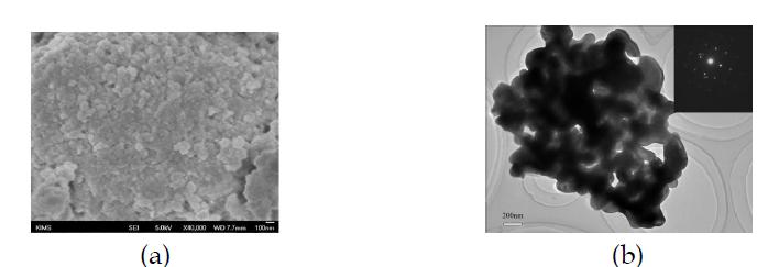 morphology of synthesized nano HfB2 분말. (a) SEM, (b) TEM.