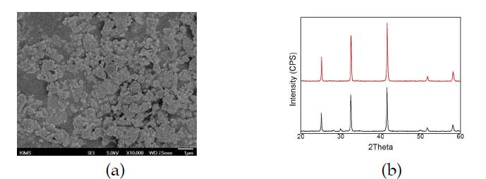 ZrB2 powder heated at 1300oC using SPS (a) morphology, (b) XRD.