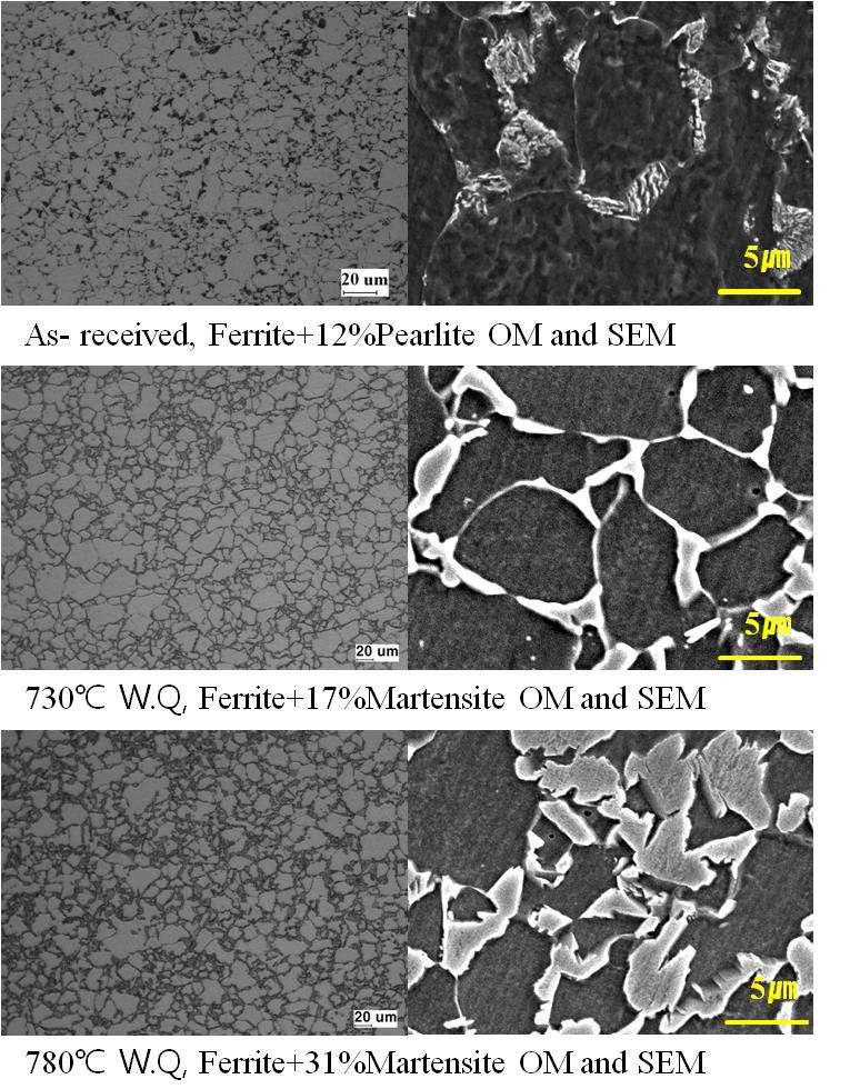 Micrographs of SPRC440