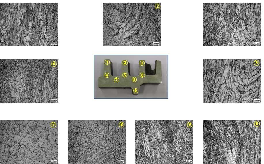 AZ31 주조재 스크롤 로터의 부위별 미세조직 관찰