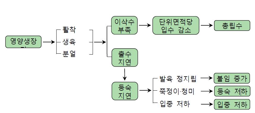 생식생장기의 냉해 발생경로 및 영향도