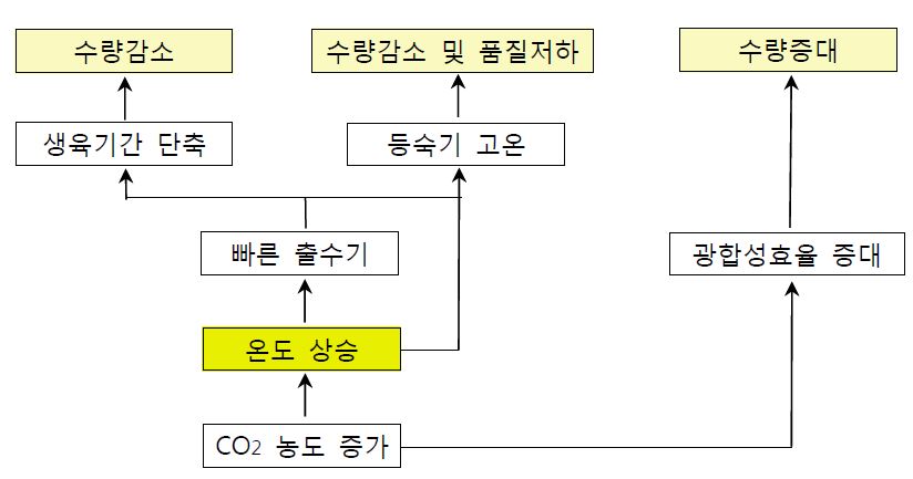 기후변화 변동요인과 벼 생육과의 관계