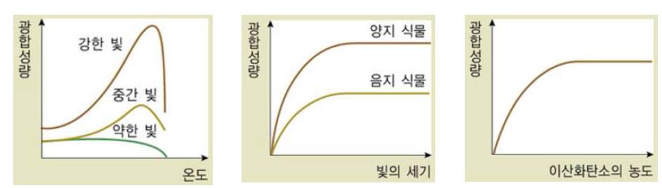 광합성량과 온도, 빛의 세기, 이산화탄소 농도의 관계