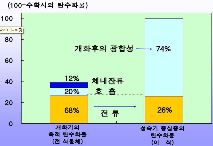 개화기와 등숙기의 탄수화물 구성 변화