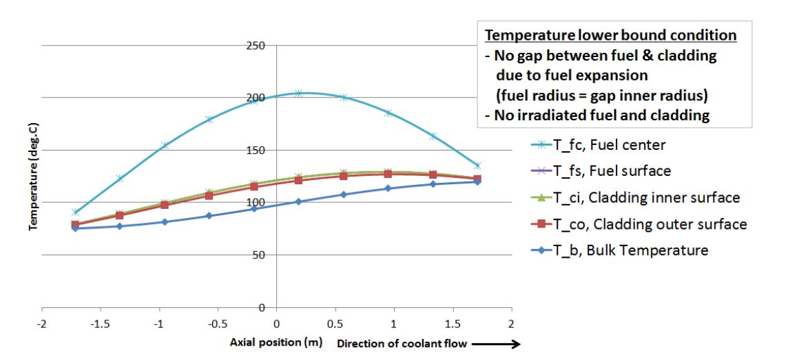 Core axial temperature distribution in lower bound condition