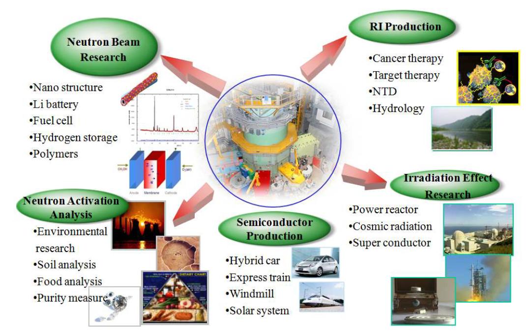 Various scientific applications of research reactors