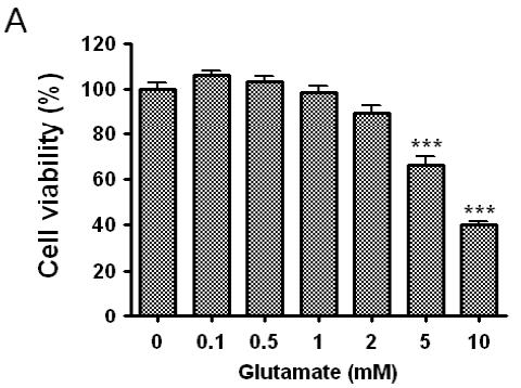 글루타민산의 농도에 따른 cell viability