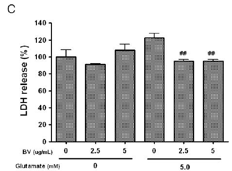 LDH assay