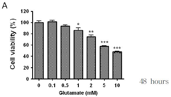 글루타민산의 농도에 따른 cell viability