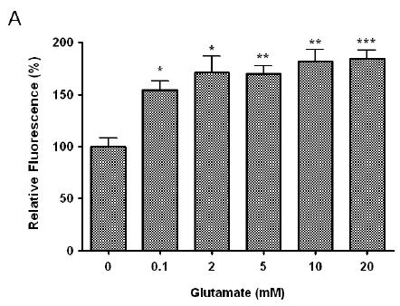 Glutamate-indeuced excitotoxity에 봉독의 효과