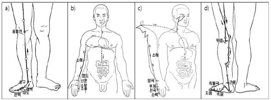 오수혈과 비경혈 측정 위치.