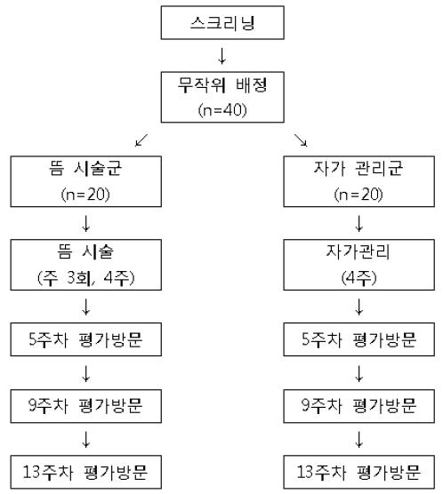 임상시험 진행 계획 flow chart