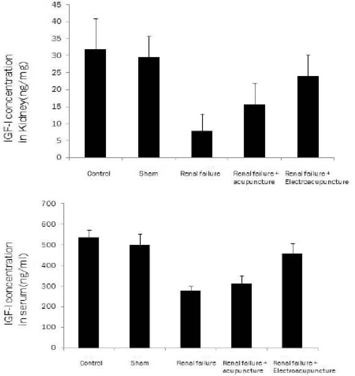 신장기능 부전에 의한 고혈압 쥐에서 신장 내와 혈중 IGF-I의 변동